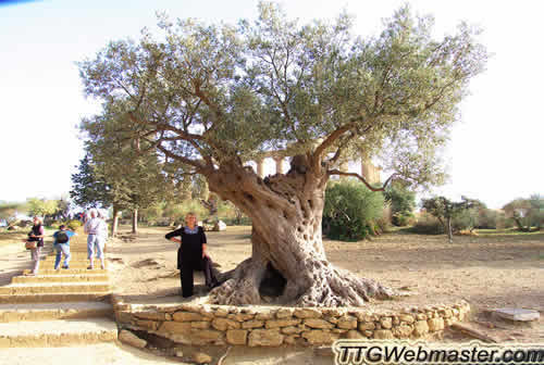 foto guida ester navarra